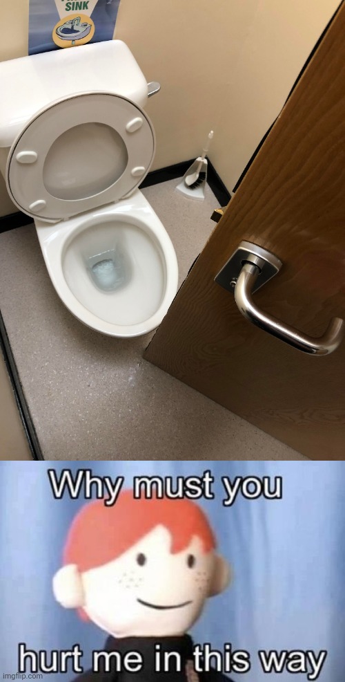 Door straight to the toilet | image tagged in why must you hurt me this way,door,toilets,toilet,you had one job,memes | made w/ Imgflip meme maker