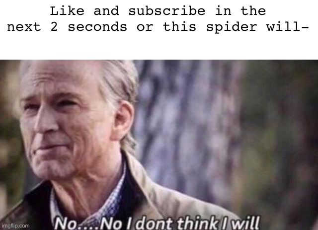 No | Like and subscribe in the next 2 seconds or this spider will- | image tagged in no i don't think i will | made w/ Imgflip meme maker