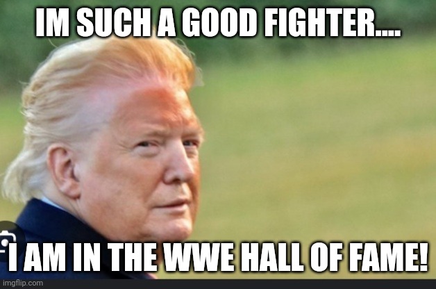 Drag trump | IM SUCH A GOOD FIGHTER.... I AM IN THE WWE HALL OF FAME! | image tagged in drag trump | made w/ Imgflip meme maker