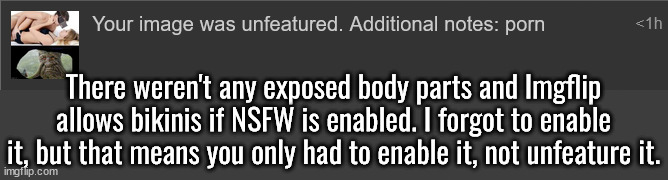 There weren't any exposed body parts and Imgflip allows bikinis if NSFW is enabled. I forgot to enable it, but that means you only had to enable it, not unfeature it. | made w/ Imgflip meme maker