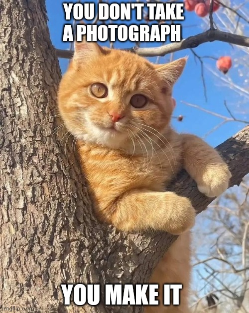 You don't take a Photograph you make it | YOU DON'T TAKE A PHOTOGRAPH; YOU MAKE IT | image tagged in funny memes | made w/ Imgflip meme maker