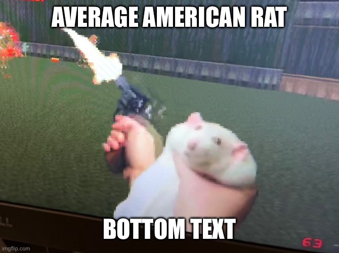 ‘merica | AVERAGE AMERICAN RAT; BOTTOM TEXT | image tagged in funny,america,rat | made w/ Imgflip meme maker