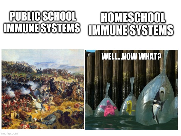 The 2 types of immune systems | HOMESCHOOL IMMUNE SYSTEMS; PUBLIC SCHOOL IMMUNE SYSTEMS | image tagged in funny | made w/ Imgflip meme maker