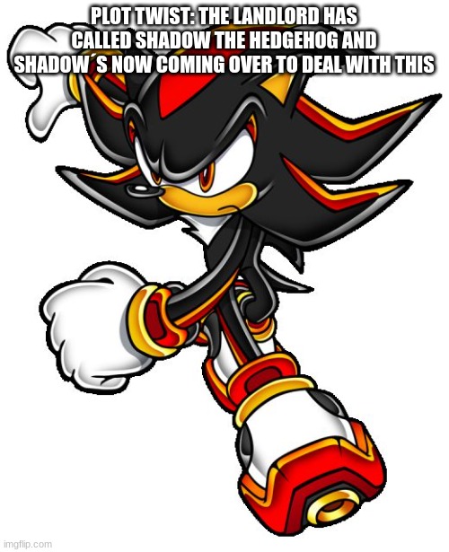 Shadow the hedgehog | PLOT TWIST: THE LANDLORD HAS CALLED SHADOW THE HEDGEHOG AND SHADOW´S NOW COMING OVER TO DEAL WITH THIS | image tagged in shadow the hedgehog | made w/ Imgflip meme maker