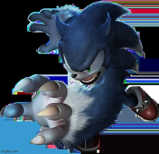 furry sonic | image tagged in furry sonic | made w/ Imgflip meme maker