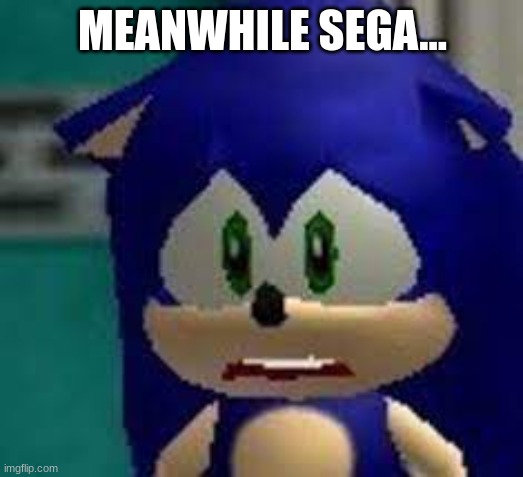 Sad Sonic | MEANWHILE SEGA... | image tagged in sad sonic | made w/ Imgflip meme maker