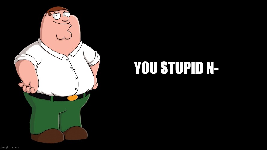 Peter Griffin explains | YOU STUPID N- | image tagged in peter griffin explains | made w/ Imgflip meme maker