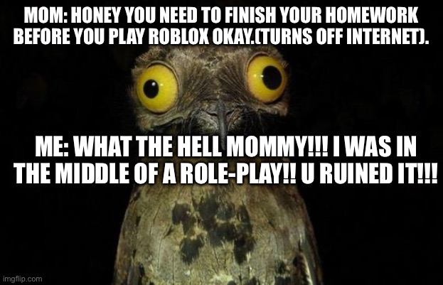 Gamer meme | MOM: HONEY YOU NEED TO FINISH YOUR HOMEWORK BEFORE YOU PLAY ROBLOX OKAY.(TURNS OFF INTERNET). ME: WHAT THE HELL MOMMY!!! I WAS IN THE MIDDLE OF A ROLE-PLAY!! U RUINED IT!!! | image tagged in memes,weird stuff i do potoo | made w/ Imgflip meme maker
