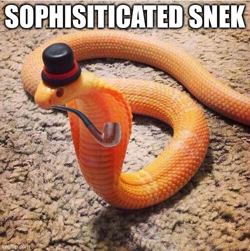 I’m losing my mind | SOPHISITICATED SNEK | image tagged in dapper snek | made w/ Imgflip meme maker