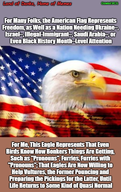 Land of Danks, Home of Memes | OzwinEVCG; Land of Danks, Home of Memes; For Many Folks, the American Flag Represents 

Freedom, as Well as a Nation Needing Ukraine–, 

Israel–, Illegal-Immigrant–, Saudi Arabia–, or 

Even Black History Month–Level Attention; For Me, This Eagle Represents That Even 

Birds Know How Bonkers Things Are Getting, 

Such as "Pronouns", Furries, Furries with 

"Pronouns"; That Eagles Are Now Willing to 

Help Vultures, the Former Pouncing and 

Preparing the Pickings for the Latter, Until 

Life Returns to Some Kind of Quasi Normal | image tagged in american eagle,dark humor,american flag,furry,pronouns sheet,clown world | made w/ Imgflip meme maker