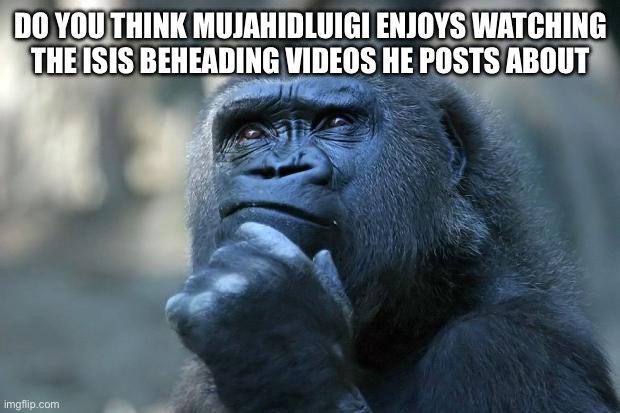 Genuine question | DO YOU THINK MUJAHIDLUIGI ENJOYS WATCHING THE ISIS BEHEADING VIDEOS HE POSTS ABOUT | image tagged in deep thoughts | made w/ Imgflip meme maker