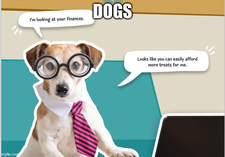 DOGGO WHY U ON THERE | DOGS | image tagged in bad pun dog,doggo,computer | made w/ Imgflip meme maker
