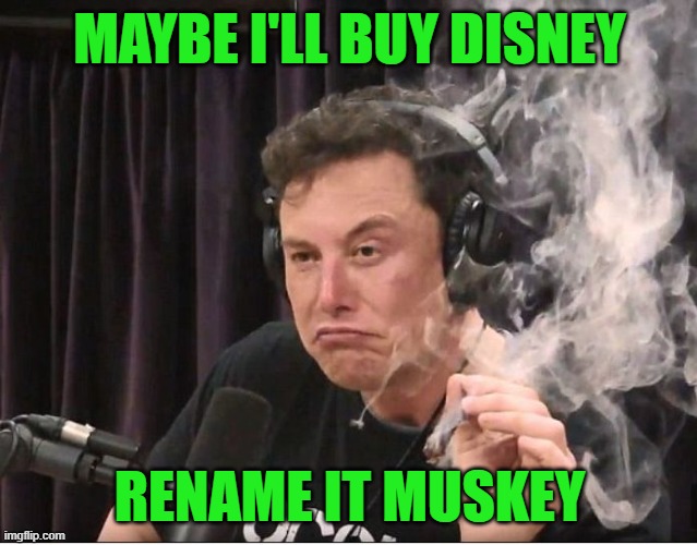 Muskeyland | MAYBE I'LL BUY DISNEY; RENAME IT MUSKEY | image tagged in elon musk smoking a joint,disney | made w/ Imgflip meme maker
