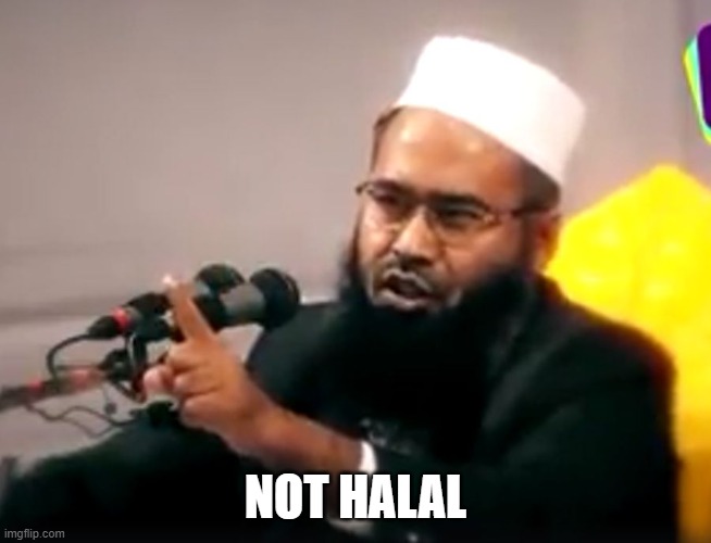 haram-halal | NOT HALAL | image tagged in haram-halal | made w/ Imgflip meme maker