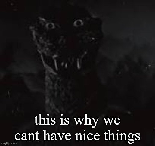 no | this is why we cant have nice things | image tagged in no | made w/ Imgflip meme maker