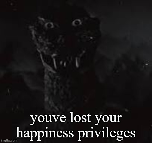 no | youve lost your happiness privileges | image tagged in no | made w/ Imgflip meme maker