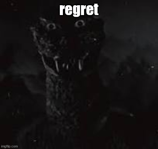 no | regret | image tagged in no | made w/ Imgflip meme maker