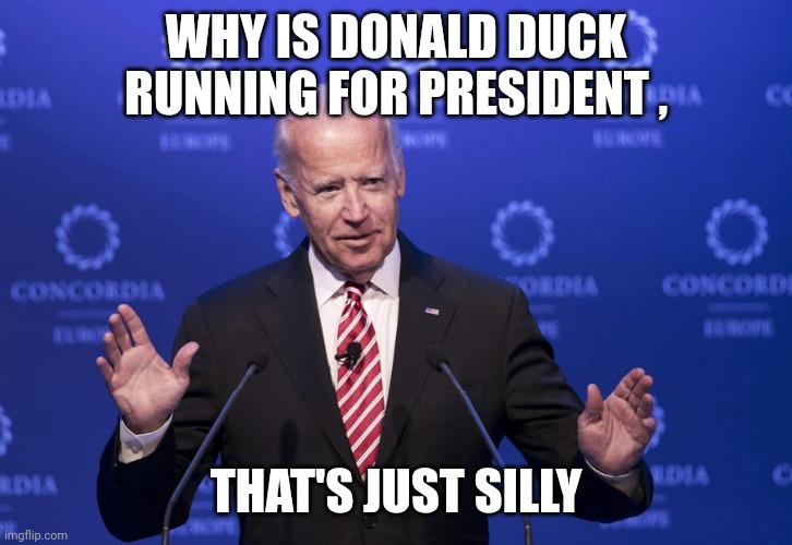 Joe Biden | WHY IS DONALD DUCK RUNNING FOR PRESIDENT , THAT'S JUST SILLY | image tagged in joe biden | made w/ Imgflip meme maker
