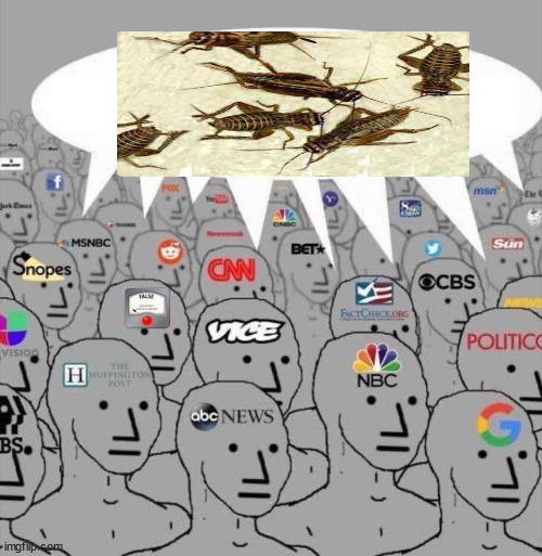 It's mostly crickets all the time... unless they can apply a white filter lens | image tagged in npc media,crickets,transgender or non white shooters | made w/ Imgflip meme maker