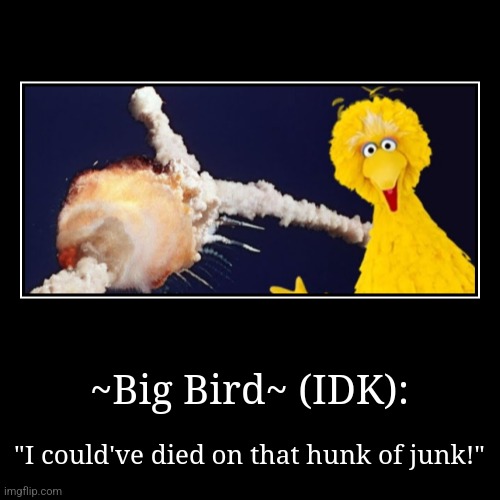 Big bird could've died on that space shuttle | ~Big Bird~ (IDK): | "I could've died on that hunk of junk!" | image tagged in funny,demotivationals,sesame street,jpfan102504 | made w/ Imgflip demotivational maker