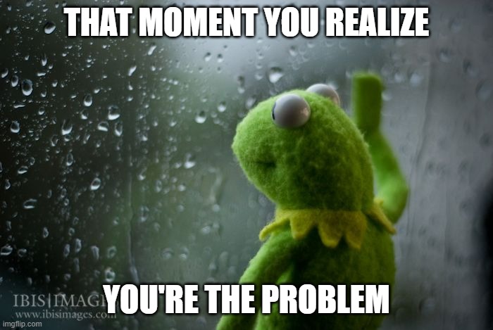 kermit window | THAT MOMENT YOU REALIZE; YOU'RE THE PROBLEM | image tagged in kermit window | made w/ Imgflip meme maker