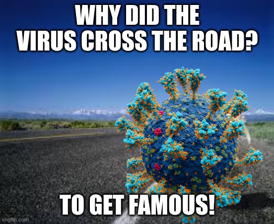 Why the chicken Cross the road | WHY DID THE VIRUS CROSS THE ROAD? TO GET FAMOUS! | image tagged in why the chicken cross the road,dark humor,virus | made w/ Imgflip meme maker