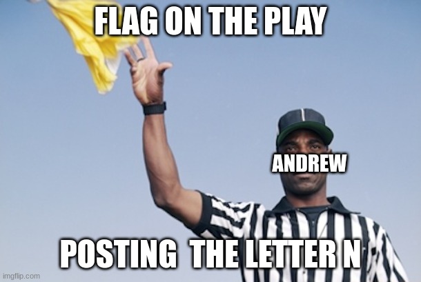 15 yard penalty. automatic 2 day ban. | FLAG ON THE PLAY; ANDREW; POSTING  THE LETTER N | image tagged in flag on the play | made w/ Imgflip meme maker