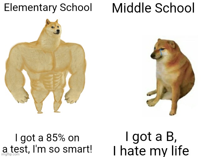 Ye | Middle School; Elementary School; I got a 85% on a test, I'm so smart! I got a B, I hate my life | image tagged in memes,buff doge vs cheems,school,test | made w/ Imgflip meme maker