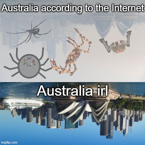 the giant enemy spider | Australia according to the Internet; Australia irl | image tagged in pandorama - pandorama,spider,australia,scary,monster,memes | made w/ Imgflip meme maker