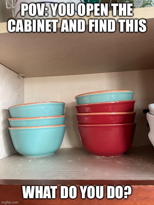 So many people do this | POV: YOU OPEN THE CABINET AND FIND THIS; WHAT DO YOU DO? | image tagged in oh wow are you actually reading these tags | made w/ Imgflip meme maker