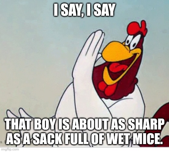 Foghorn Leghorn | I SAY, I SAY; THAT BOY IS ABOUT AS SHARP AS A SACK FULL OF WET MICE. | image tagged in foghorn leghorn | made w/ Imgflip meme maker