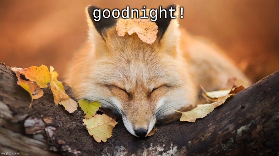 Goodnight | goodnight! | image tagged in goodnight | made w/ Imgflip meme maker