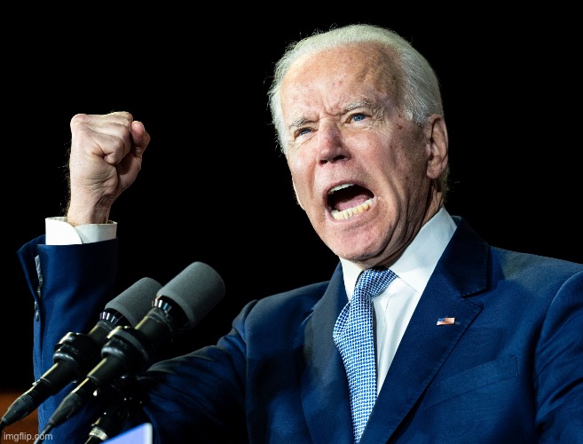 Joe Biden's fist | image tagged in joe biden's fist | made w/ Imgflip meme maker