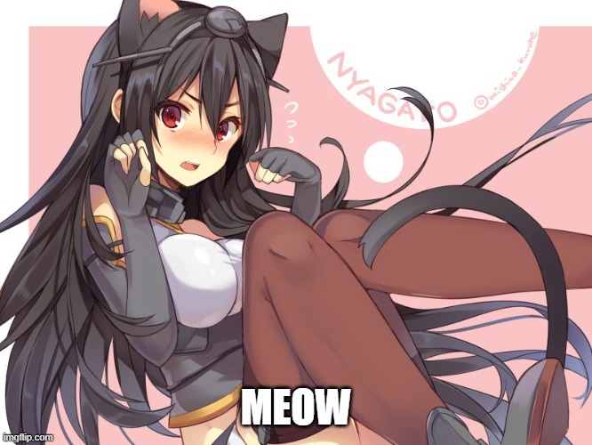 Tsundere Catgirl | MEOW | image tagged in tsundere catgirl | made w/ Imgflip meme maker