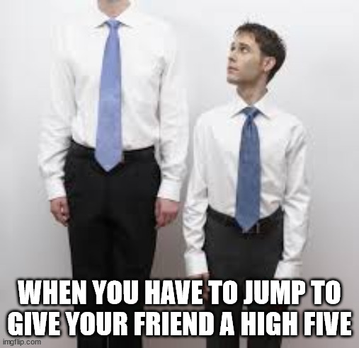 Tall people | WHEN YOU HAVE TO JUMP TO GIVE YOUR FRIEND A HIGH FIVE | image tagged in tall people | made w/ Imgflip meme maker