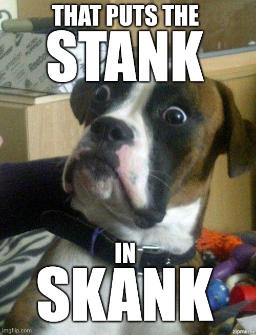 Funny Dog | STANK; THAT PUTS THE; IN; SKANK | image tagged in funny dog | made w/ Imgflip meme maker