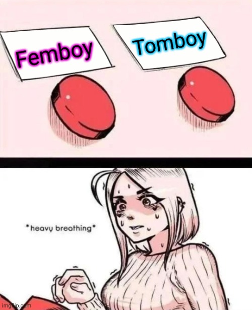 I love Androgyny. | Tomboy; Femboy | image tagged in women two buttons meme,heart beating faster,attraction,interesting,why not both | made w/ Imgflip meme maker
