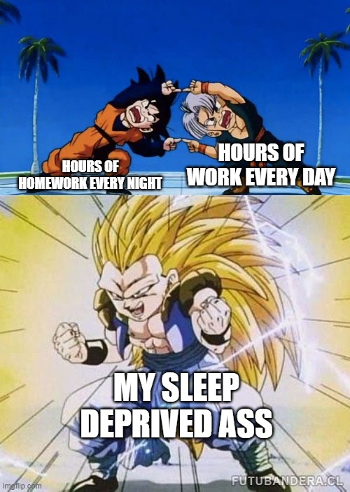 DBZ FUSION | HOURS OF WORK EVERY DAY; HOURS OF HOMEWORK EVERY NIGHT; MY SLEEP DEPRIVED ASS | image tagged in dbz fusion | made w/ Imgflip meme maker