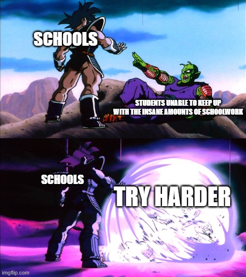 Turles | SCHOOLS; STUDENTS UNABLE TO KEEP UP WITH THE INSANE AMOUNTS OF SCHOOLWORK; TRY HARDER; SCHOOLS | image tagged in turles | made w/ Imgflip meme maker