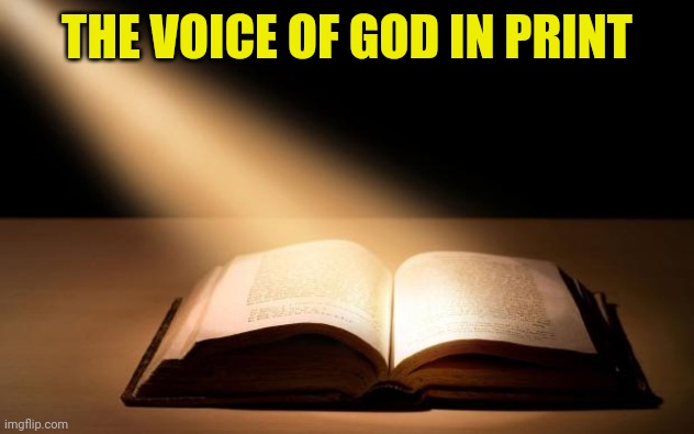 Bible | THE VOICE OF GOD IN PRINT | image tagged in bible | made w/ Imgflip meme maker