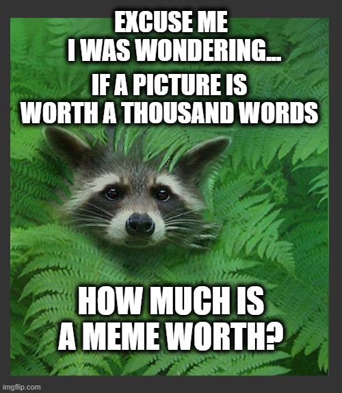 We would be running the world! | EXCUSE ME; I WAS WONDERING... IF A PICTURE IS WORTH A THOUSAND WORDS; HOW MUCH IS A MEME WORTH? | image tagged in raccoon,raccoon meme,a picture is worth,meme joke | made w/ Imgflip meme maker