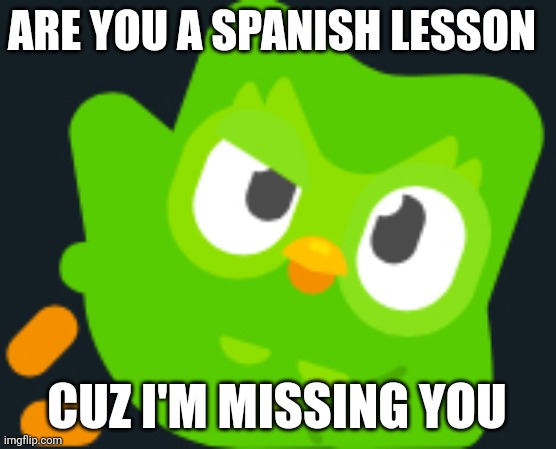 Duo the rizz lord | ARE YOU A SPANISH LESSON; CUZ I'M MISSING YOU | image tagged in duo rizz | made w/ Imgflip meme maker