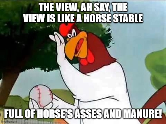 THE VIEW, AH SAY, THE VIEW IS LIKE A HORSE STABLE FULL OF HORSE'S ASSES AND MANURE! | made w/ Imgflip meme maker