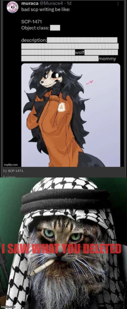 I SAW WHAT YOU DELETED | image tagged in i saw what you deleted | made w/ Imgflip meme maker