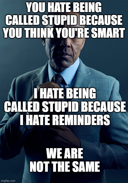 stoopid | YOU HATE BEING CALLED STUPID BECAUSE YOU THINK YOU'RE SMART; I HATE BEING CALLED STUPID BECAUSE I HATE REMINDERS; WE ARE NOT THE SAME | image tagged in gus fring we are not the same | made w/ Imgflip meme maker