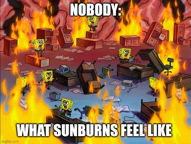 Sunburns are the worst | NOBODY:; WHAT SUNBURNS FEEL LIKE | image tagged in spongebob fire,jpfan102504 | made w/ Imgflip meme maker