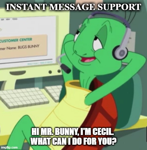 Customer Support | INSTANT MESSAGE SUPPORT; HI MR. BUNNY, I'M CECIL. 
WHAT CAN I DO FOR YOU? | image tagged in customer support | made w/ Imgflip meme maker