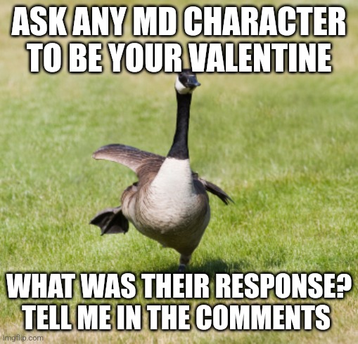 canada goose | ASK ANY MD CHARACTER TO BE YOUR VALENTINE; WHAT WAS THEIR RESPONSE? TELL ME IN THE COMMENTS | image tagged in canada goose | made w/ Imgflip meme maker