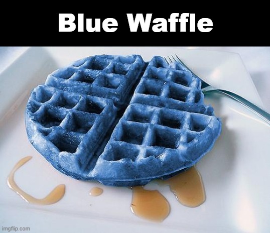 Blue Waffle | Blue Waffle | image tagged in blue waffle,google,search history,memes | made w/ Imgflip meme maker