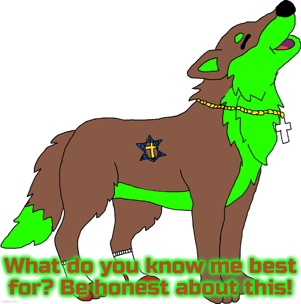 Farkas Howling | What do you know me best for? Be honest about this! | image tagged in farkas howling | made w/ Imgflip meme maker